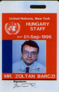 New York-i ENSZ kitűző